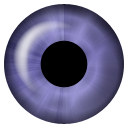 iEyes