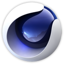 License Server