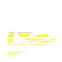 100% Net Gallery