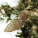 Imogen-Heap_Propeller-Seeds-Air