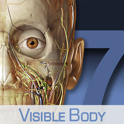 Human Anatomy Atlas