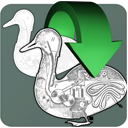 Automatic Duck Media Copy