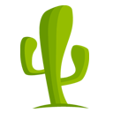 CactusVPN