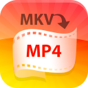 4Video MKV MP4 Converter