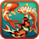 Koi Pond 3D