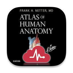 Netters Atlas of Human Anatomy
