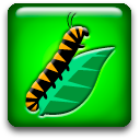 Mapwing Creator