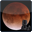 Lunar Eclipse Maestro