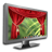 BackDrop Curtain
