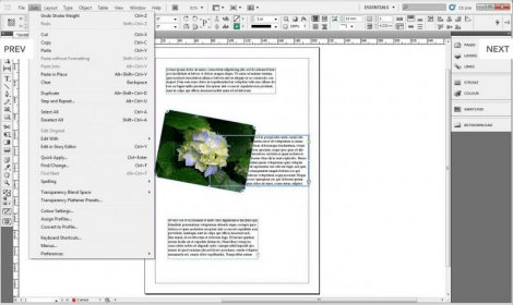 Adobe Indesign Cs5 Portable Free Download