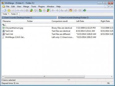 winmerge compare file names only