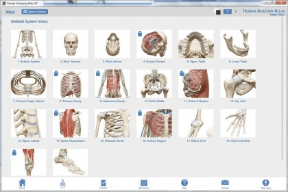 complete anatomy 2018 download for pc