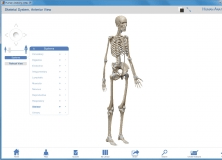visible body human anatomy atlas serial number visible body human anatomy atlas serial number