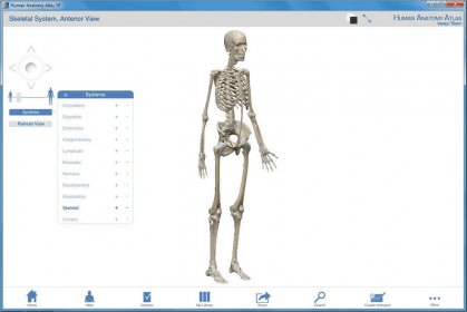 human anatomy atlas for pc torrent download