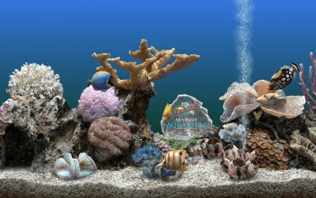 serene screensaver marine aquarium lite