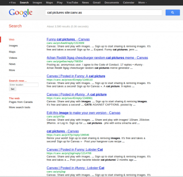 The Single-Site Search in Google