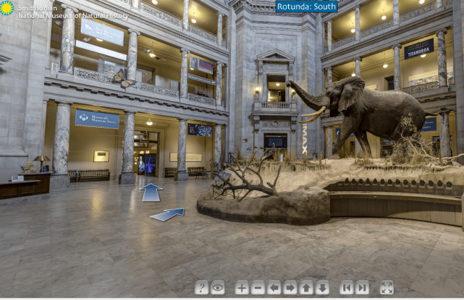 National Museum of Natural History