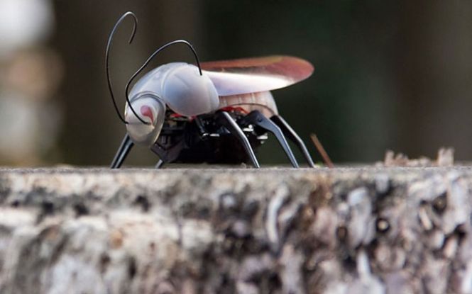 iPhone Controlled Bug