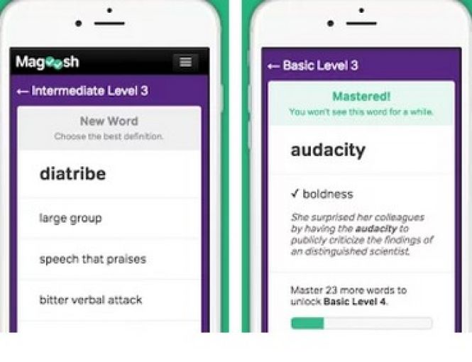 Vocabulary builder