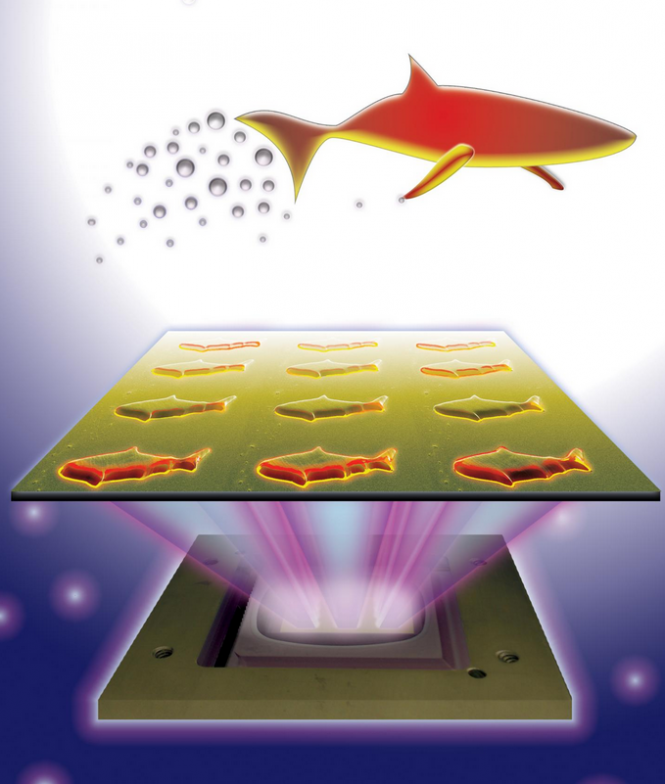 Nano-fish