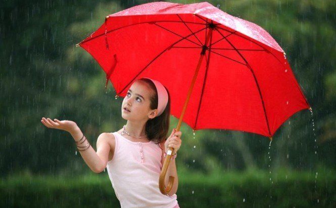 Is It Raining Cats and Dogs?