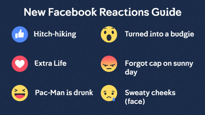 N4's reactions guide