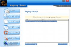 Registry Backup Section