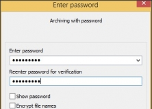 Password Protection Window