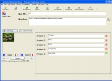 Project Window