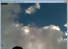 Integrated Webcam View
