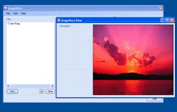Image viewing window