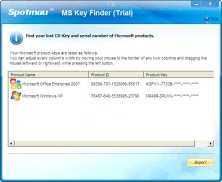MS Key Finder Window