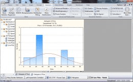 Histogram Report