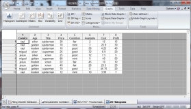 Variable Input Screen