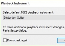Playback instrument