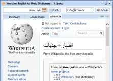 Wikipedia search