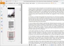 Open PDF File