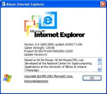 Internet Explorer - About Page