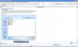 Viewing the file in Word