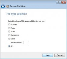 File Type