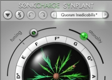 sonic charge synplant review