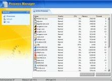 Process manager window
