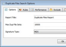 Duplicate Search Options