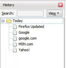 The browser history