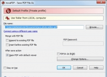Save PDF File As 