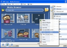 Main Interface