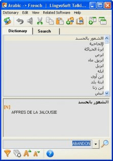 Arabic-Franch translation direction window