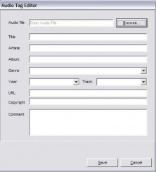 Audio tag editor
