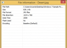 File Information Window