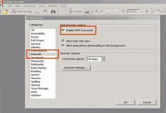 How to display pdf in broswer
